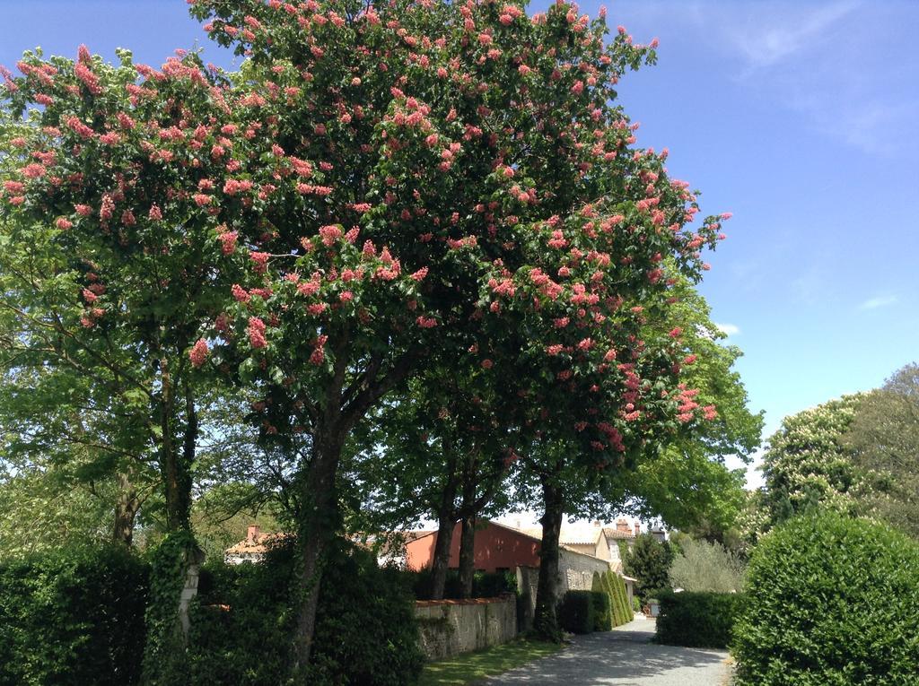 Aigrefeuille-dʼAunis La Grange D'Aunis B&B 외부 사진